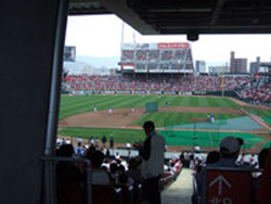 マツダスタジアム、コンコース