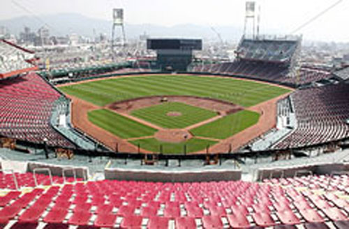 球場の全体写真