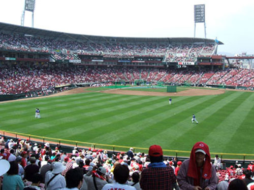 内外野の天然芝