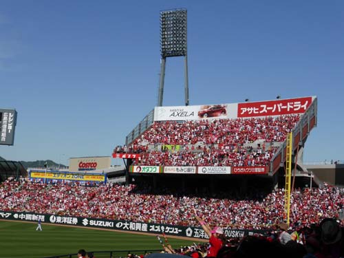 カープパフォーマンス